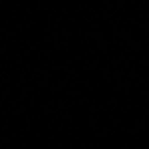 Meet your Posher, Dashun